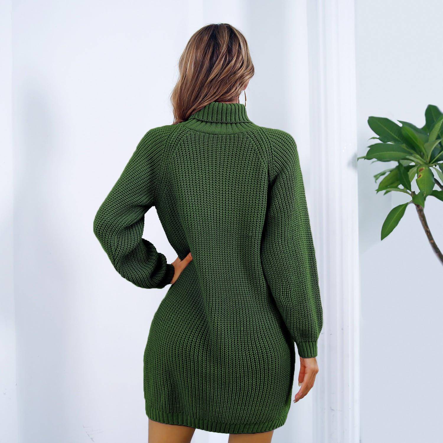 Winter Turtleneck Long Sweater Dress With Button Design Leisure Clinch