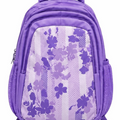 Fashionable Shoulder Bag for Women