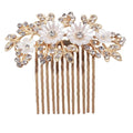 Fashion Hair Clips & Accessories Set