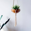 Macrame Plant Hanger